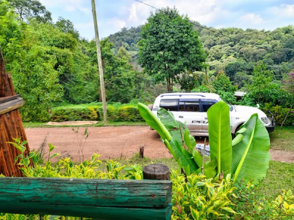 Ruhija Community Rest Camp Bed and Breakfast Kabale Buitenkant foto