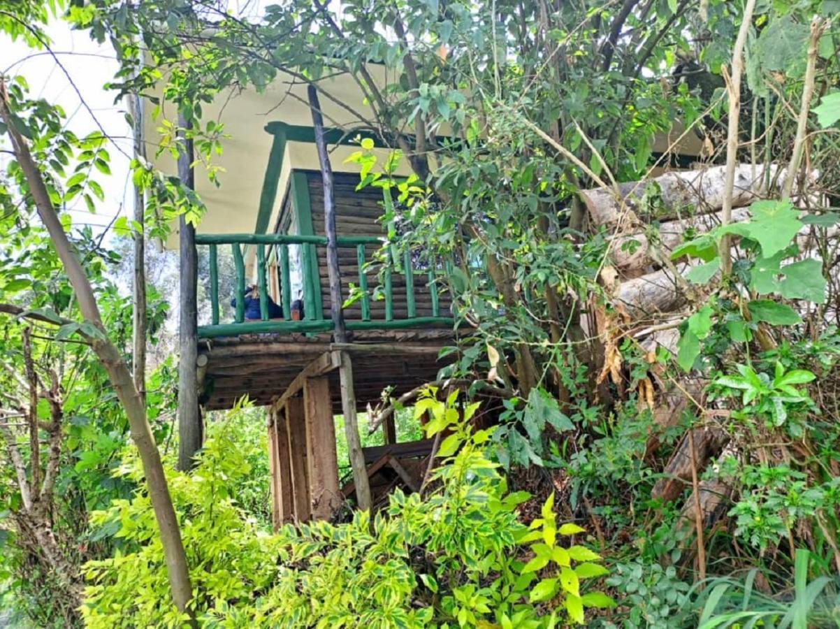 Ruhija Community Rest Camp Bed and Breakfast Kabale Buitenkant foto
