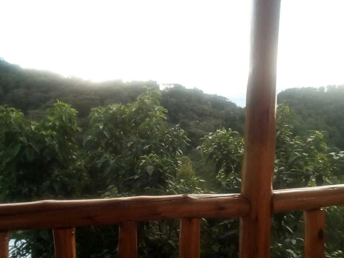 Ruhija Community Rest Camp Bed and Breakfast Kabale Buitenkant foto